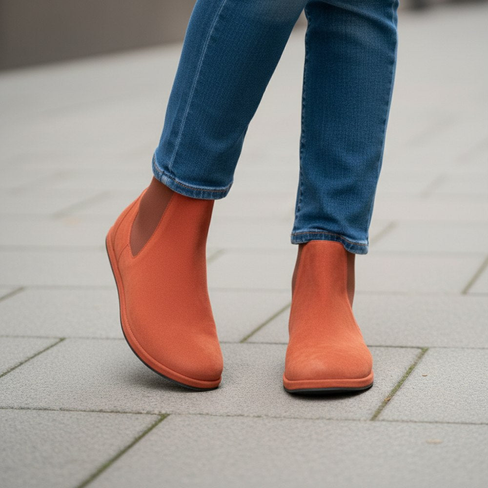 Terra de capitaux propres