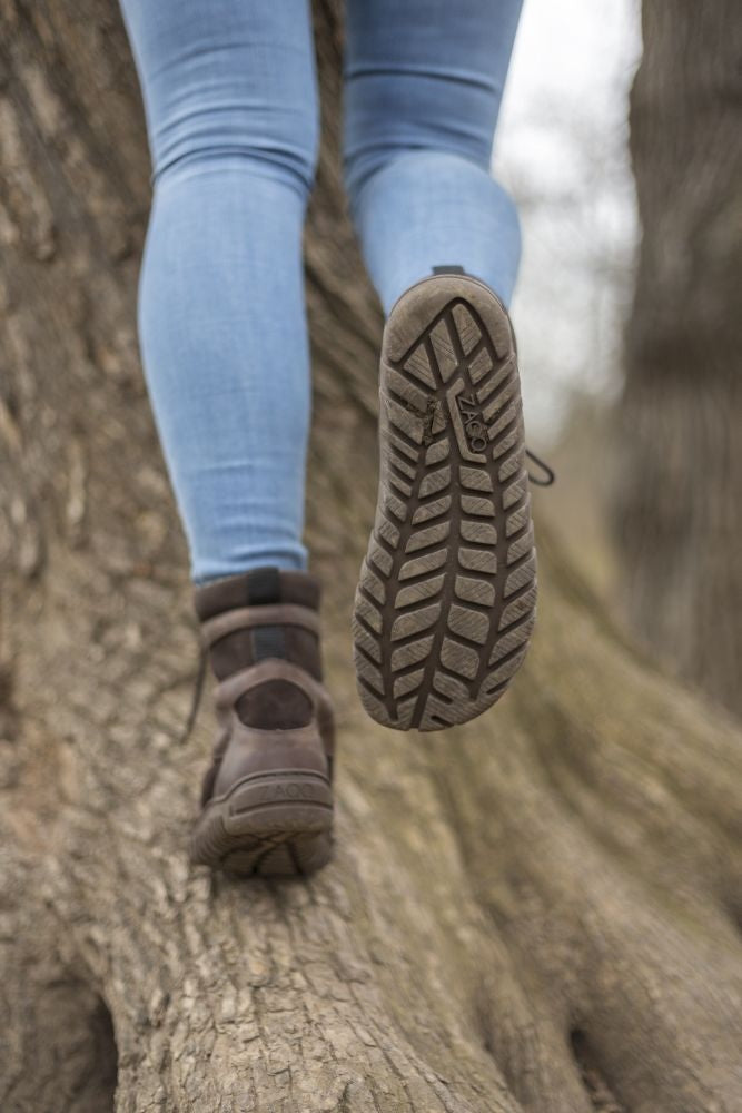 Explorateur Brown Imperproof